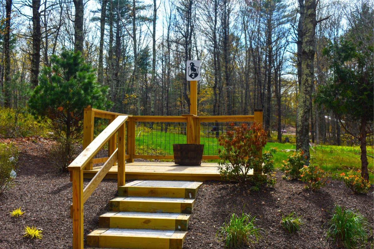 19 Station Sporting Clays Course - Station 2