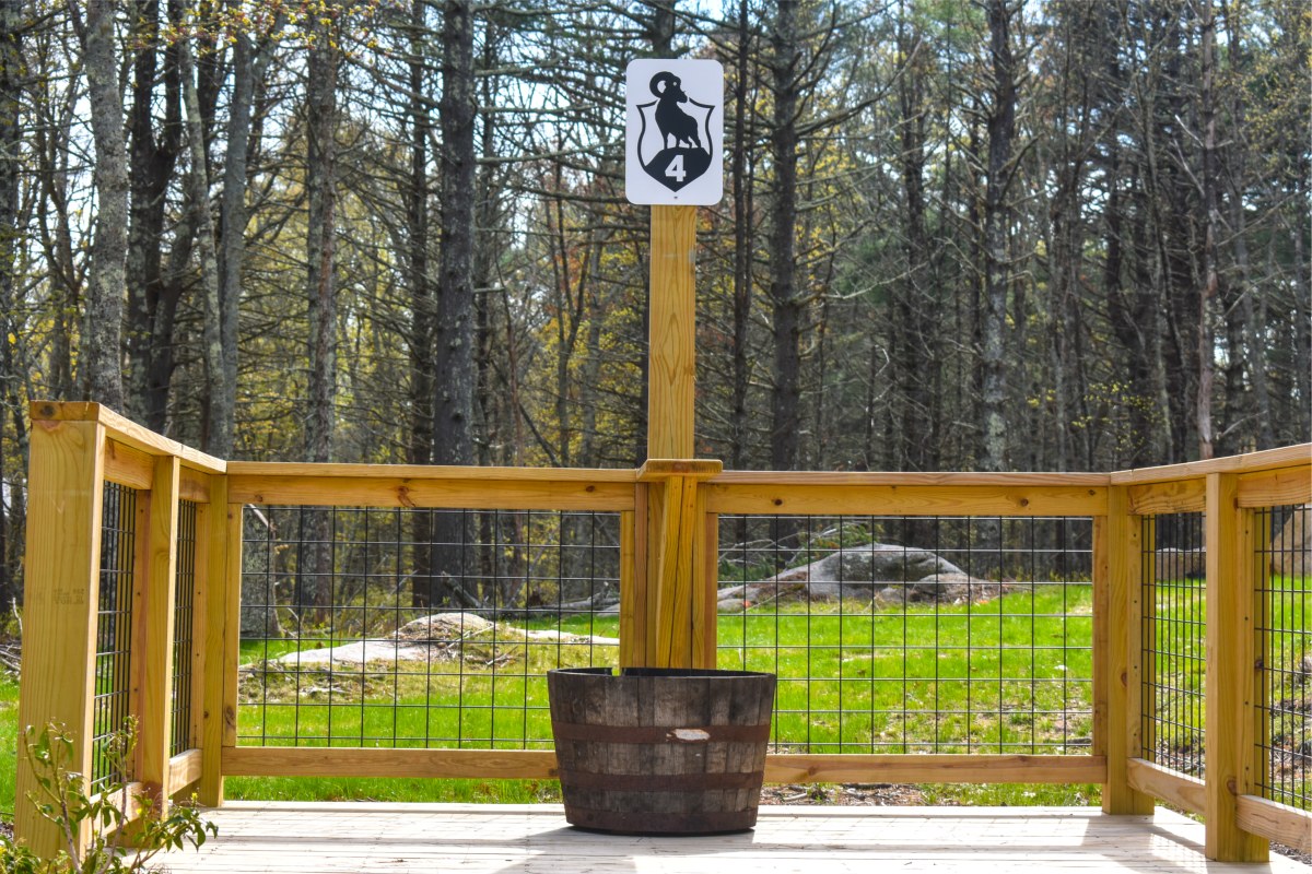 19 Station Sporting Clays Course - Station 4