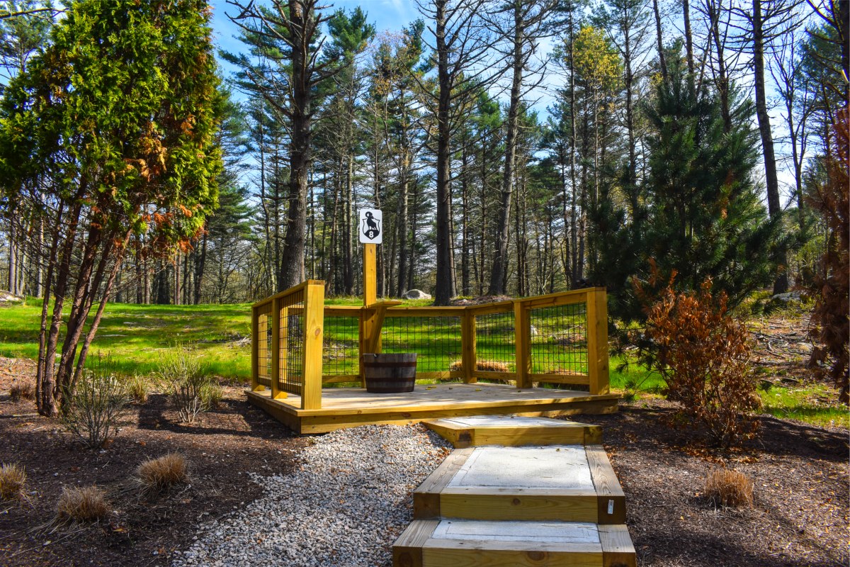 19 Station Sporting Clays Course - Station 8