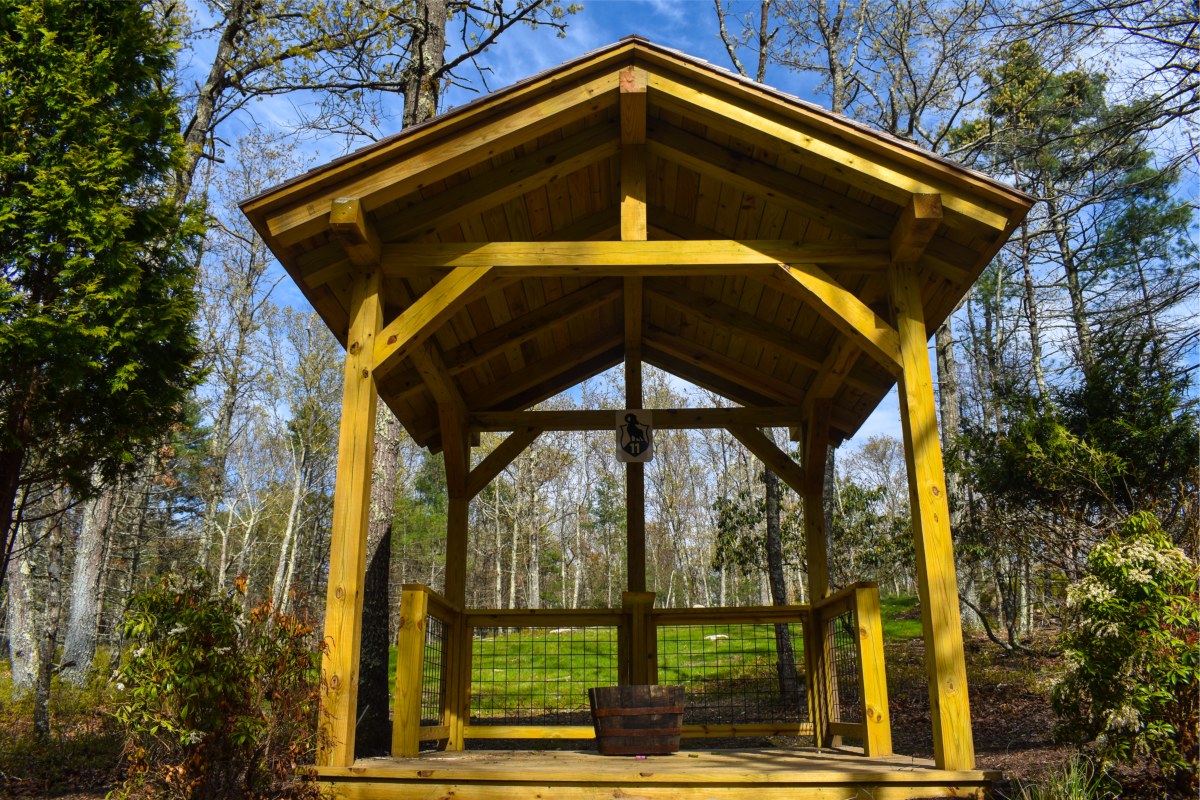 19 Station Sporting Clays Course - Station 11