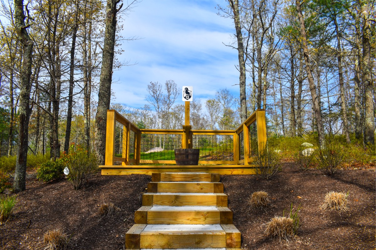 19 Station Sporting Clays Course - Station 12