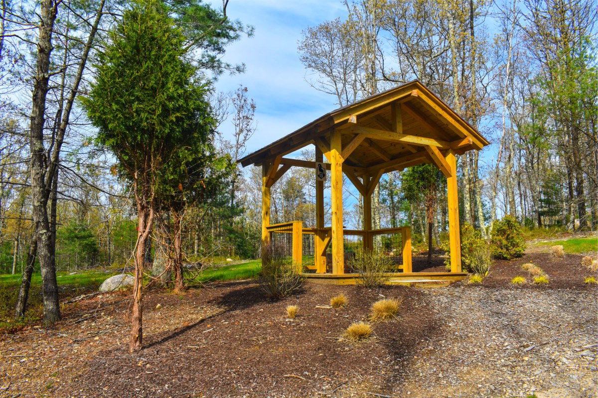 19 Station Sporting Clays Course - Station 13