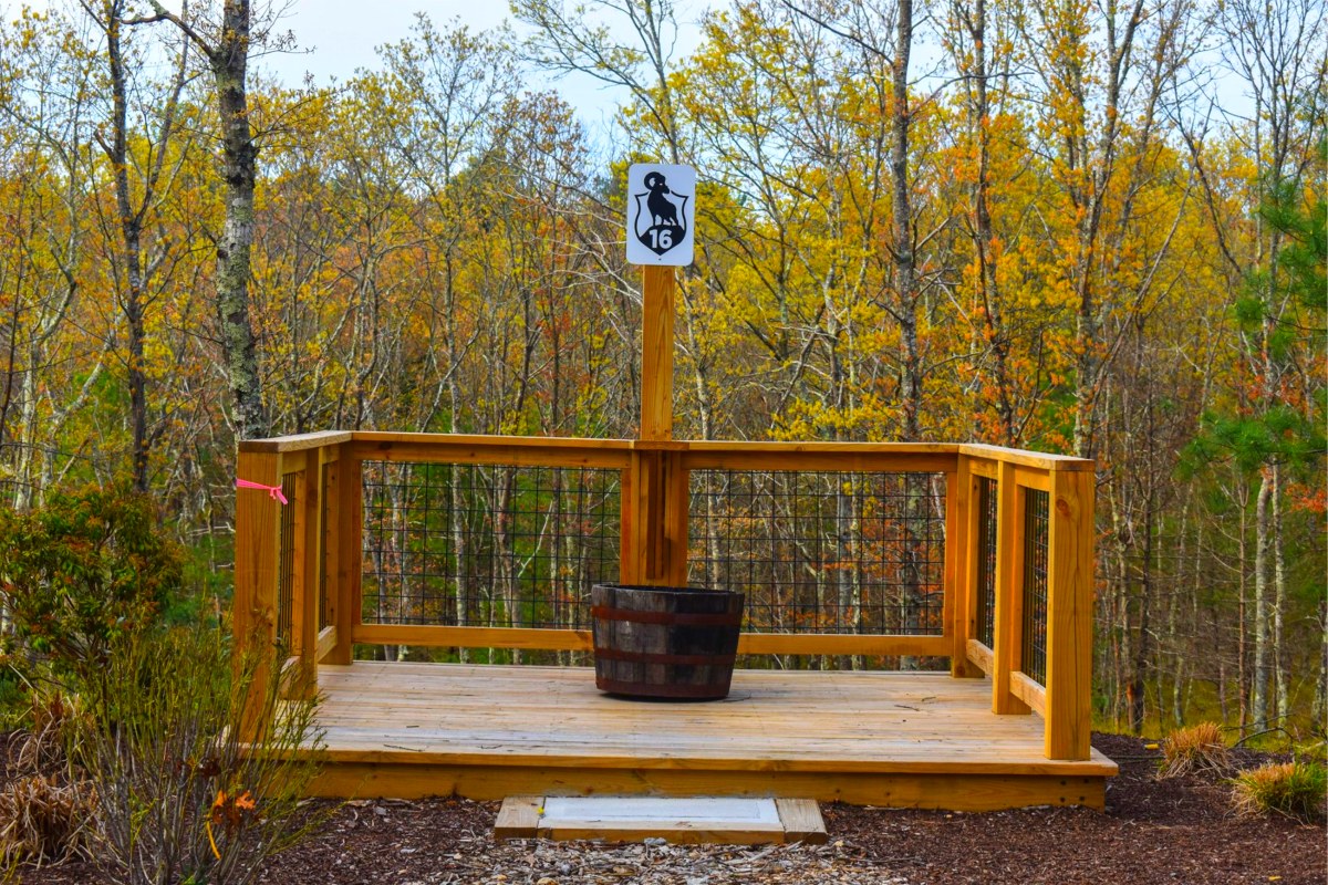 19 Station Sporting Clays Course - Station 17