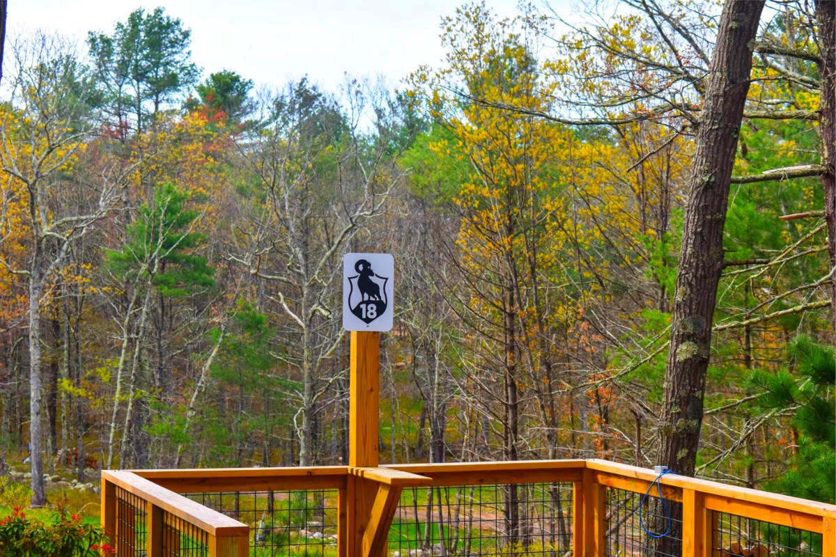 19 Station Sporting Clays Course - Station 19