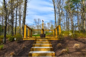 19 Station Sporting Clays Course - Station 12